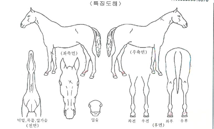 �����̺����ڸ��� ����,���,�޸�,�λ�,�ٸ��� Ư¡����