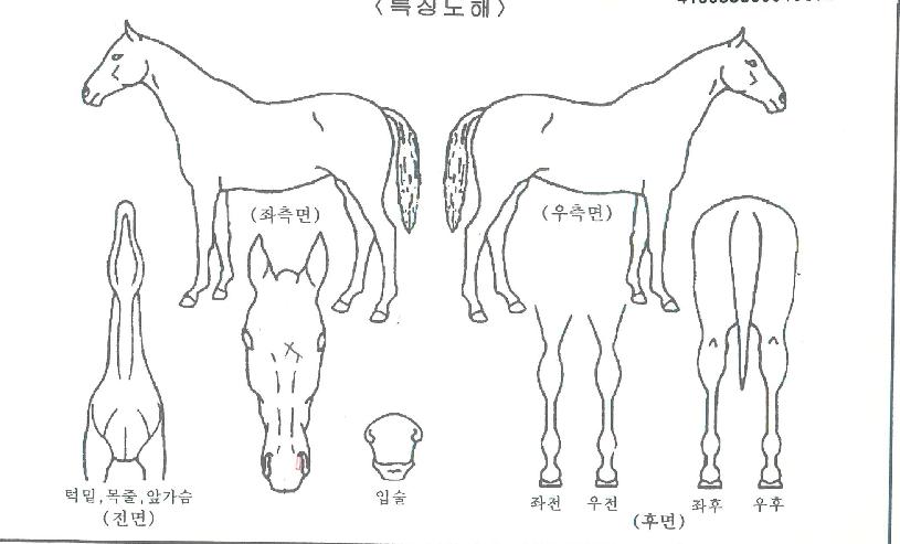 �Ƶ��������� ����,���,�޸�,�λ�,�ٸ��� Ư¡����