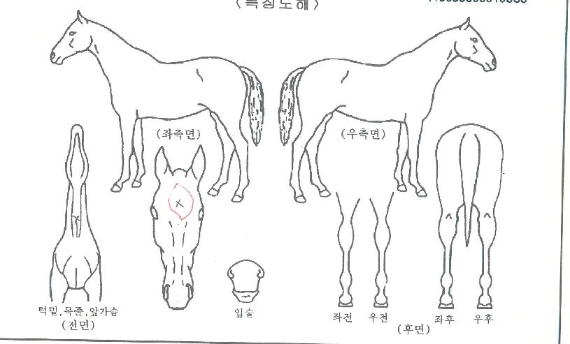 �̳���� ����,���,�޸�,�λ�,�ٸ��� Ư¡����