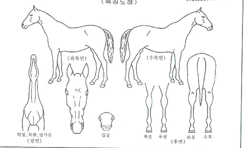ÇÇÄÉÀÌÈúÀÇ Ãø¸é,¿ì¸é,µÞ¸é,µÎ»ó,´Ù¸®ÀÇ Æ¯Â¡µµÇØ