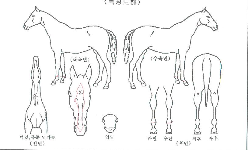 ����Ʈ������ ����,���,�޸�,�λ�,�ٸ��� Ư¡����