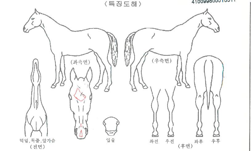 ���Ÿ������ ����,���,�޸�,�λ�,�ٸ��� Ư¡����