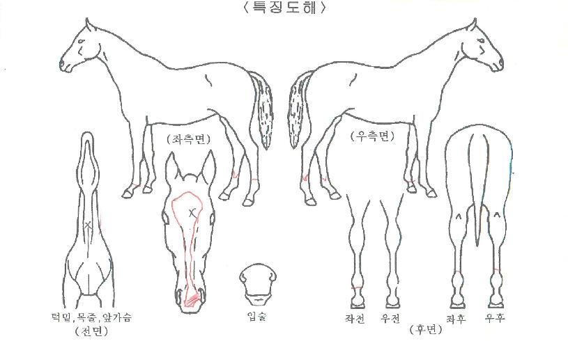 ����Ÿ�̰��� ����,���,�޸�,�λ�,�ٸ��� Ư¡����