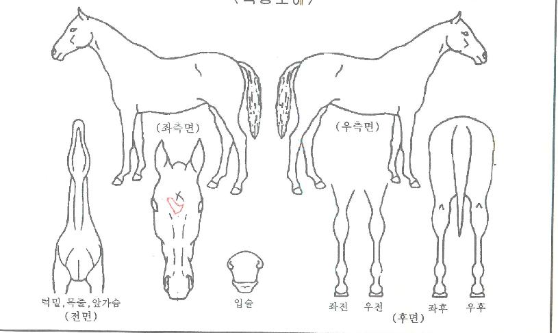 �þ������ ����,���,�޸�,�λ�,�ٸ��� Ư¡����