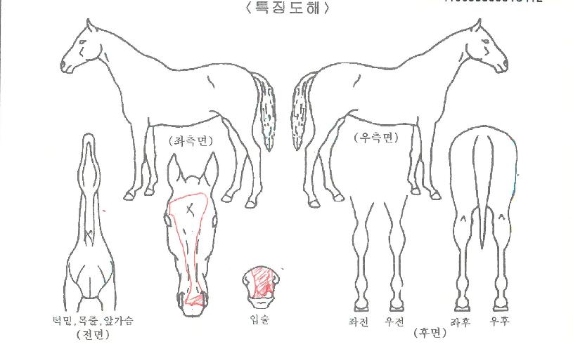 �ù��� ����,���,�޸�,�λ�,�ٸ��� Ư¡����