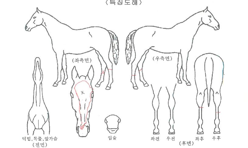 ��Ÿ��ƽ������ ����,���,�޸�,�λ�,�ٸ��� Ư¡����