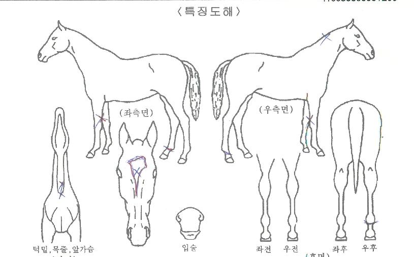 ����õ���� ����,���,�޸�,�λ�,�ٸ��� Ư¡����