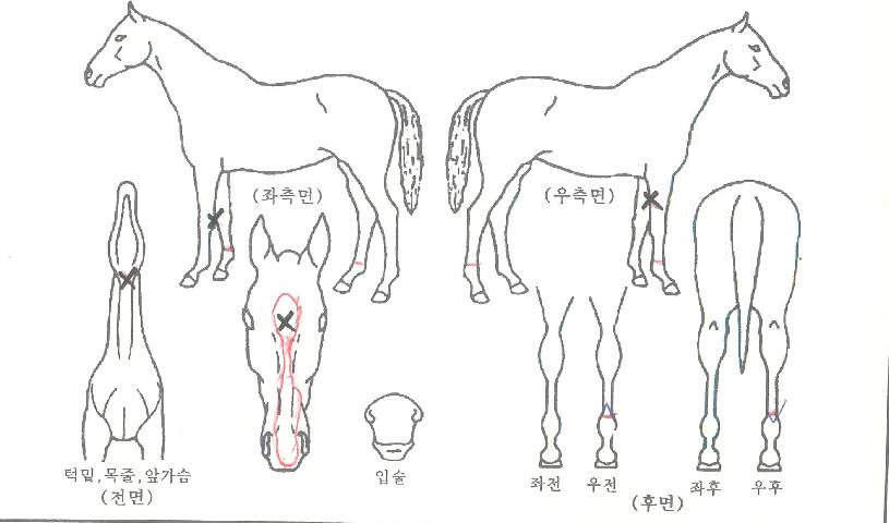 �ܵ��������� ����,���,�޸�,�λ�,�ٸ��� Ư¡����