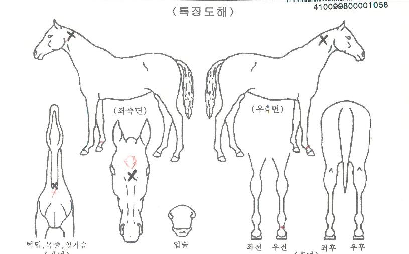 ���Ľ�Ÿ�� ����,���,�޸�,�λ�,�ٸ��� Ư¡����