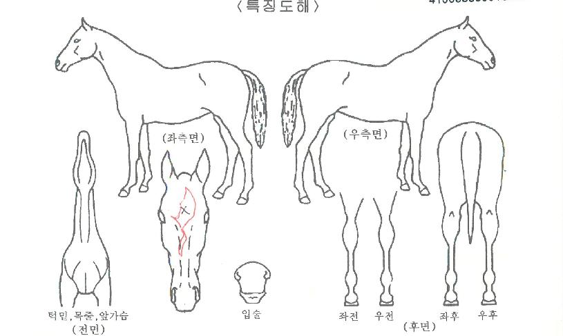 ���̴׾����� ����,���,�޸�,�λ�,�ٸ��� Ư¡����