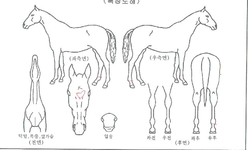 ���𽺹��� ����,���,�޸�,�λ�,�ٸ��� Ư¡����