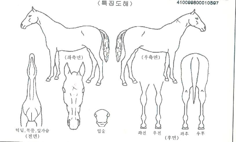 �������� ����,���,�޸�,�λ�,�ٸ��� Ư¡����