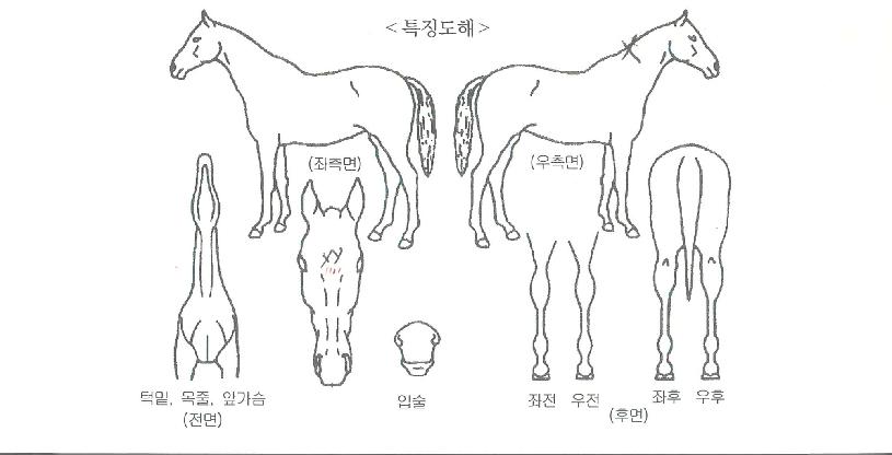 ������ö����� ����,���,�޸�,�λ�,�ٸ��� Ư¡����