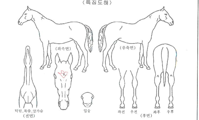 ȯ����ġ�� ����,���,�޸�,�λ�,�ٸ��� Ư¡����