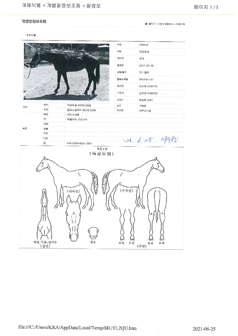 ��������� ����,���,�޸�,�λ�,�ٸ��� Ư¡����