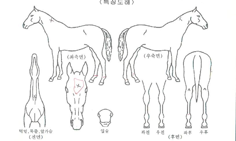 ���ι����� ����,���,�޸�,�λ�,�ٸ��� Ư¡����