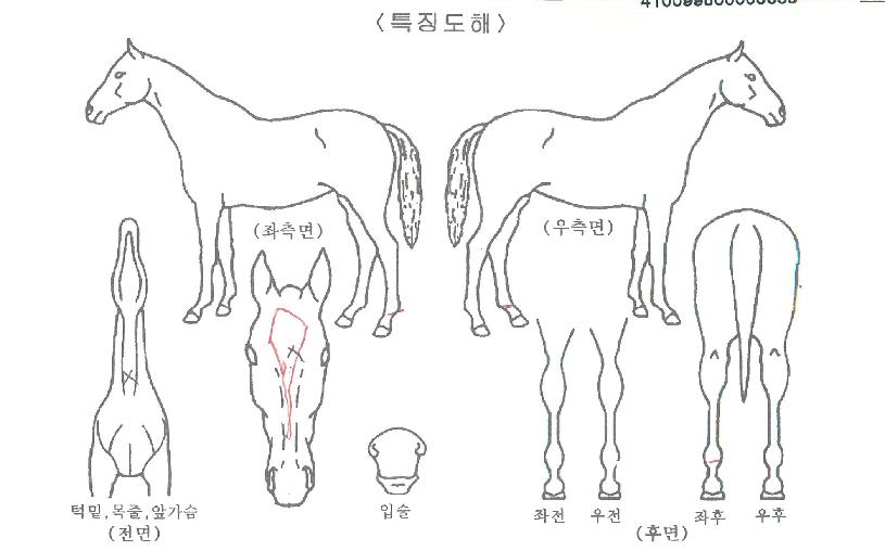 �׹���ũ����� ����,���,�޸�,�λ�,�ٸ��� Ư¡����