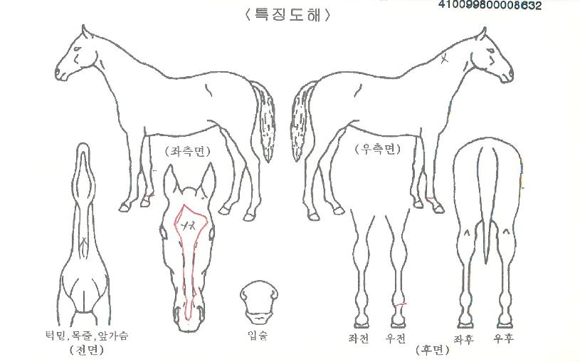 �ݾ�Űư�� ����,���,�޸�,�λ�,�ٸ��� Ư¡����