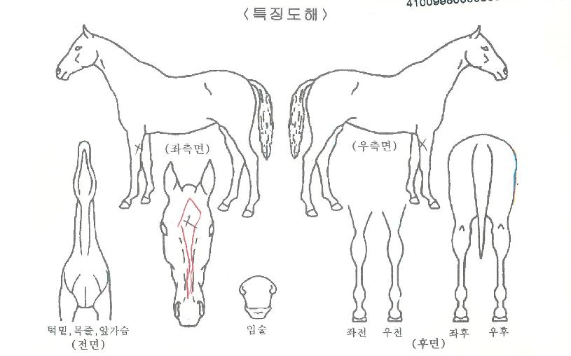 ���̽���ġ�� ����,���,�޸�,�λ�,�ٸ��� Ư¡����