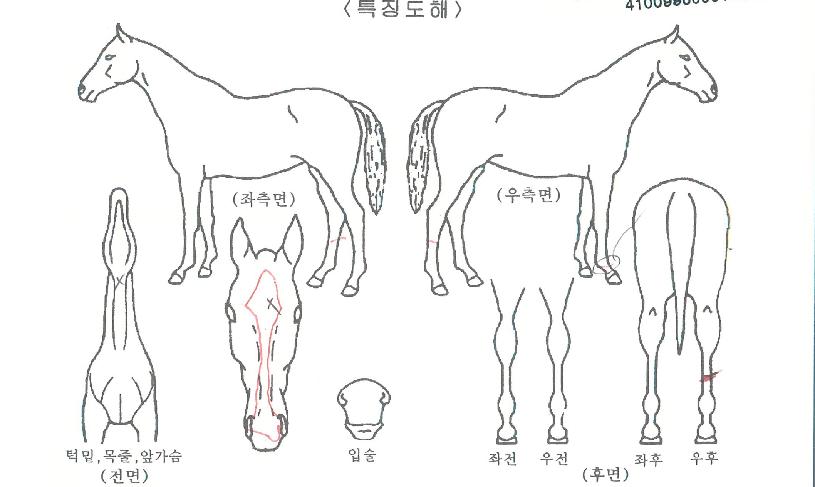 ¸¶Å©¿øÀÇ Ãø¸é,¿ì¸é,µÞ¸é,µÎ»ó,´Ù¸®ÀÇ Æ¯Â¡µµÇØ