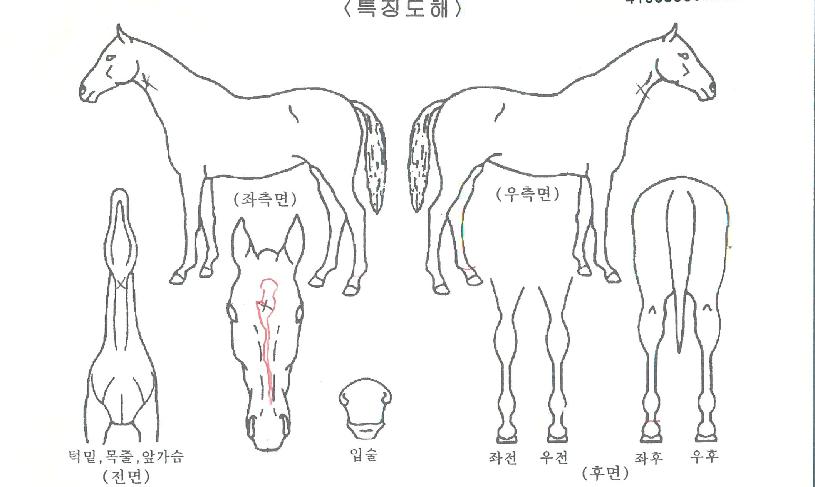 �ε����� ����,���,�޸�,�λ�,�ٸ��� Ư¡����