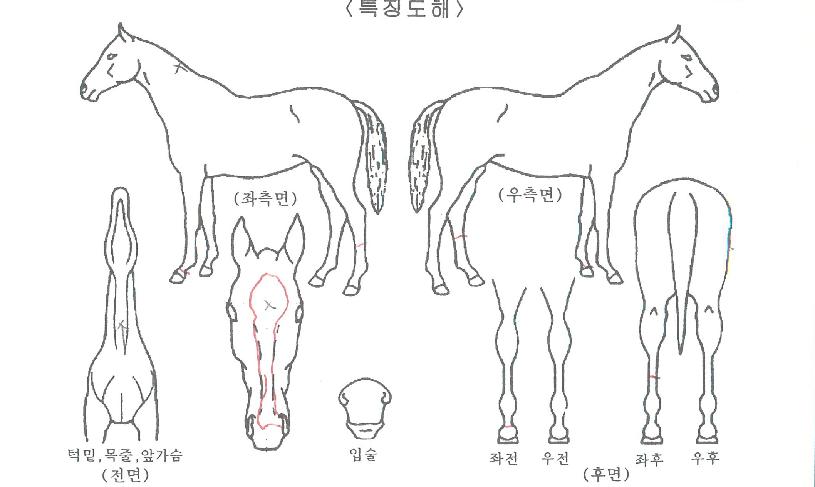 �м�Ű�� ����,���,�޸�,�λ�,�ٸ��� Ư¡����