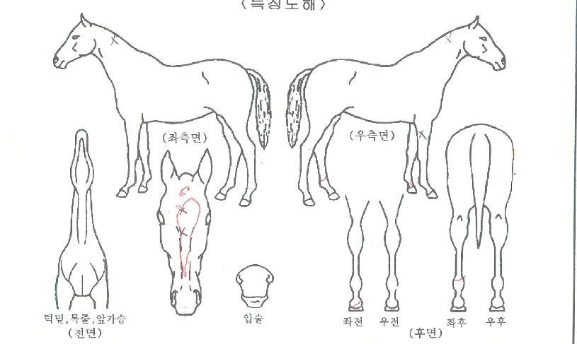 �̽���ǻ���� ����,���,�޸�,�λ�,�ٸ��� Ư¡����