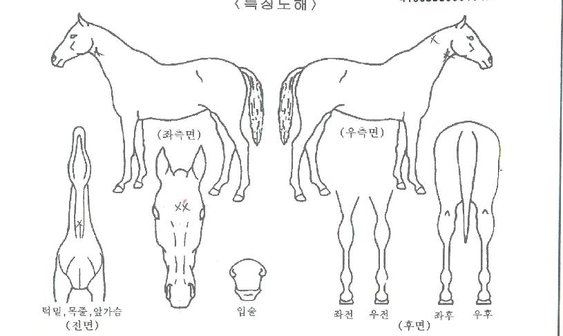 ������Ʈ�� ����,���,�޸�,�λ�,�ٸ��� Ư¡����