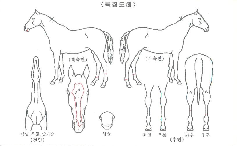 ���ǿ����� ����,���,�޸�,�λ�,�ٸ��� Ư¡����