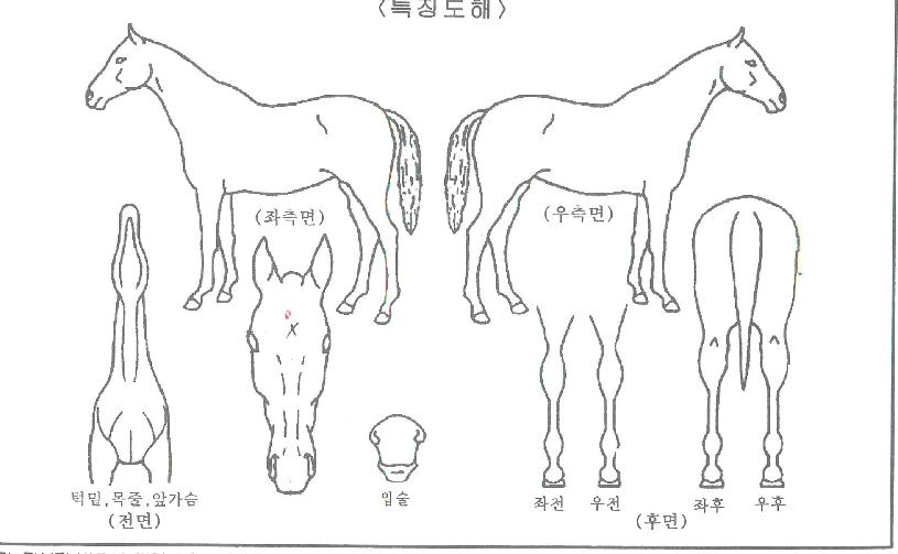 ��������� ����,���,�޸�,�λ�,�ٸ��� Ư¡����