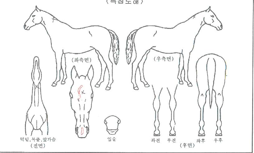 ��������� ����,���,�޸�,�λ�,�ٸ��� Ư¡����