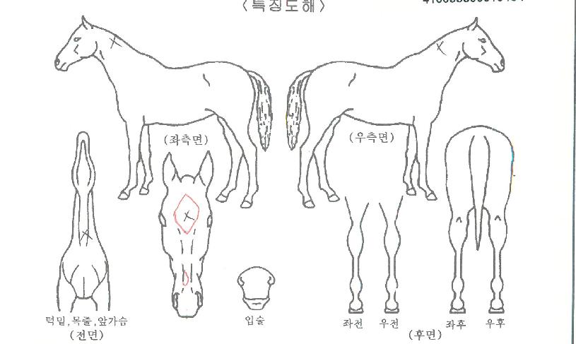 ��¸������� ����,���,�޸�,�λ�,�ٸ��� Ư¡����