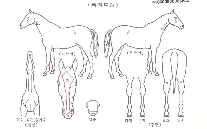 �Ķ������� ����,���,�޸�,�λ�,�ٸ��� Ư¡����