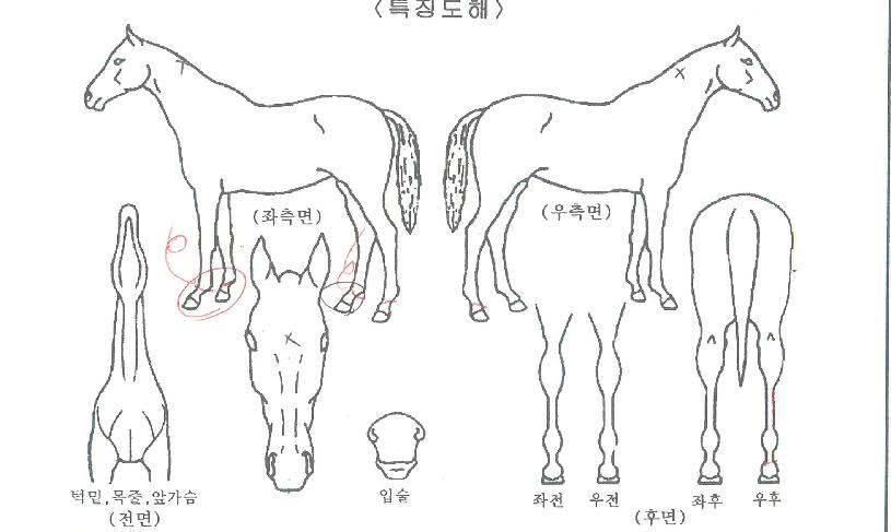 ������ũ�� ����,���,�޸�,�λ�,�ٸ��� Ư¡����