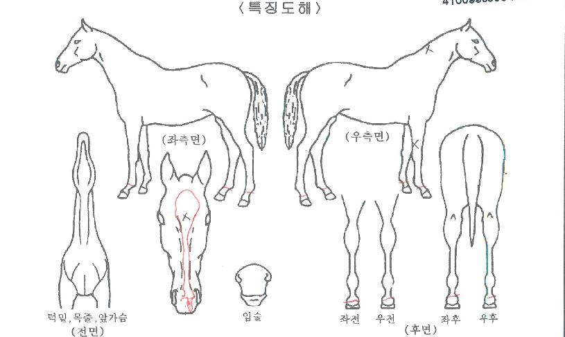 ½Å´ë·ÎÀÇ Ãø¸é,¿ì¸é,µÞ¸é,µÎ»ó,´Ù¸®ÀÇ Æ¯Â¡µµÇØ