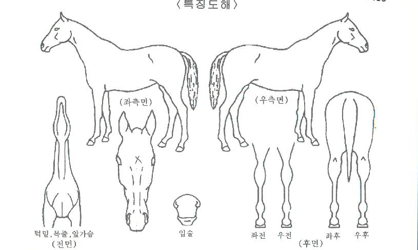 �����÷������ڸ��� ����,���,�޸�,�λ�,�ٸ��� Ư¡����