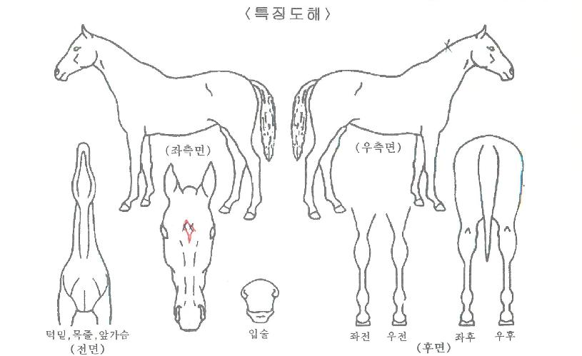 ��������� ����,���,�޸�,�λ�,�ٸ��� Ư¡����