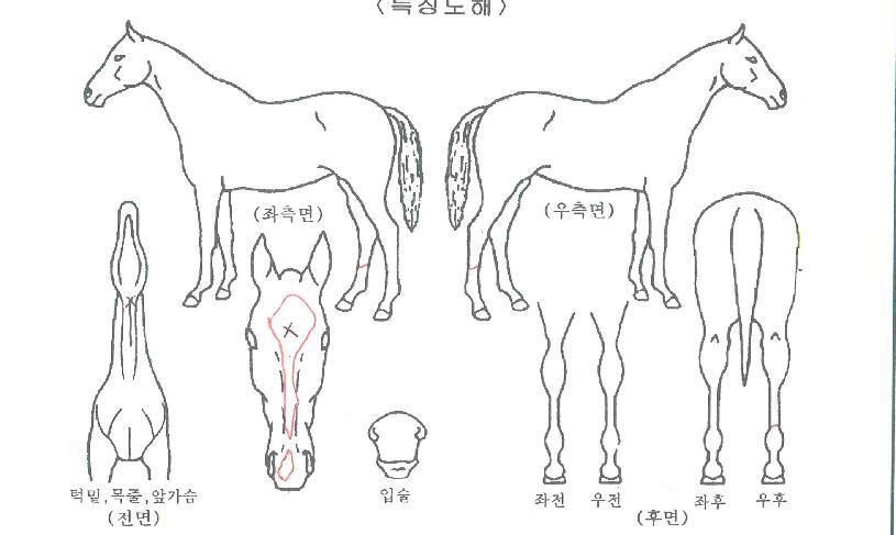 ��ĭ���� ����,���,�޸�,�λ�,�ٸ��� Ư¡����