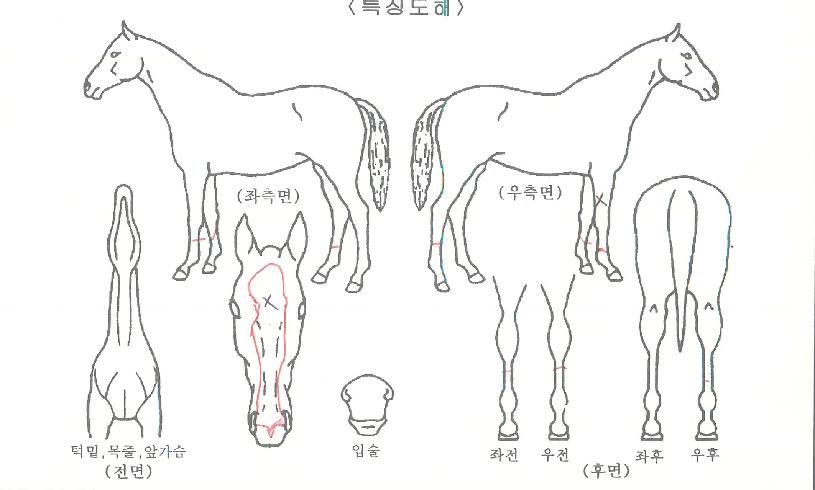 �Ƶ�Ŭ������ ����,���,�޸�,�λ�,�ٸ��� Ư¡����