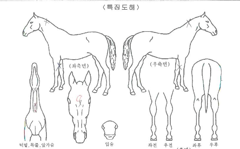 õ���� ����,���,�޸�,�λ�,�ٸ��� Ư¡����