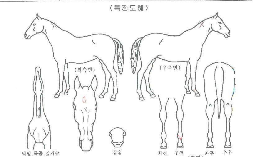 ���׳����� ����,���,�޸�,�λ�,�ٸ��� Ư¡����