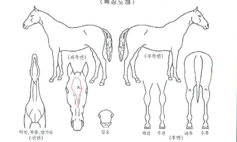 ��������Ű�� ����,���,�޸�,�λ�,�ٸ��� Ư¡����