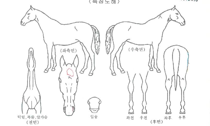 ���������ڸ��� ����,���,�޸�,�λ�,�ٸ��� Ư¡����