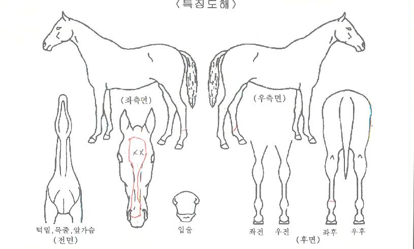 ���ͳ������� ����,���,�޸�,�λ�,�ٸ��� Ư¡����