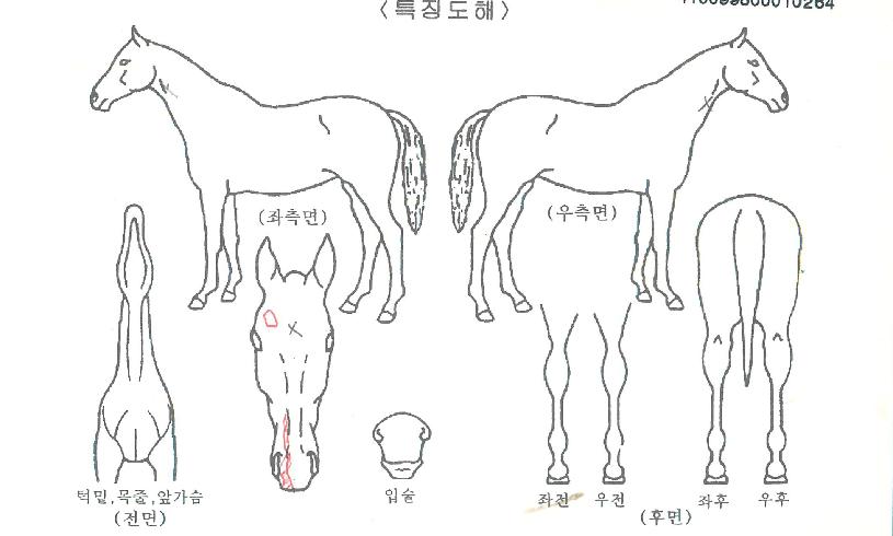 ����Ǯ������� ����,���,�޸�,�λ�,�ٸ��� Ư¡����