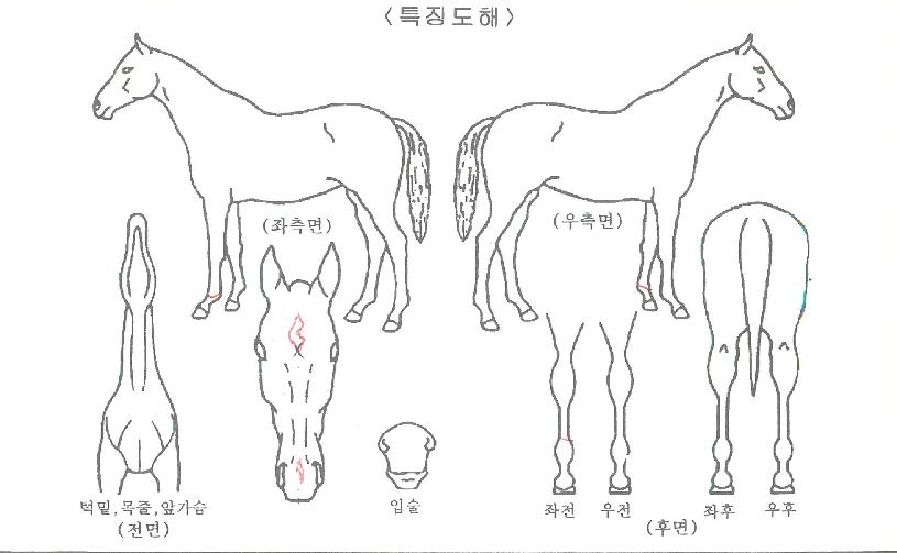 ��ġ�Ŀ��� ����,���,�޸�,�λ�,�ٸ��� Ư¡����