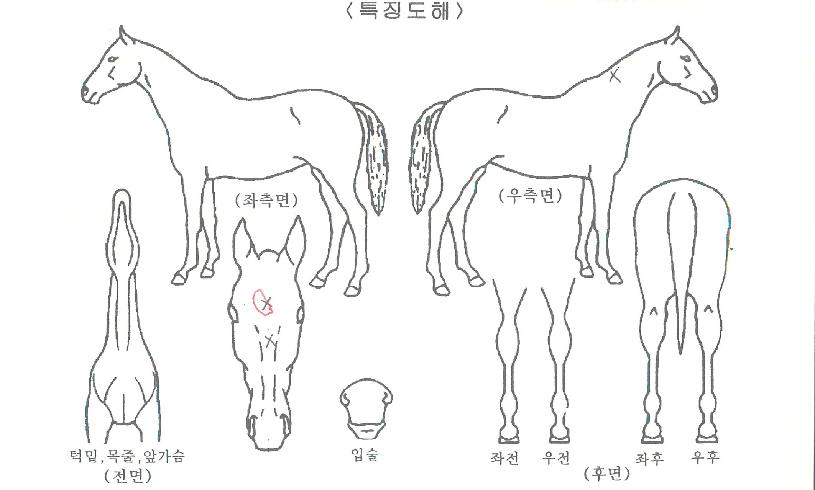 �ʽ������� ����,���,�޸�,�λ�,�ٸ��� Ư¡����