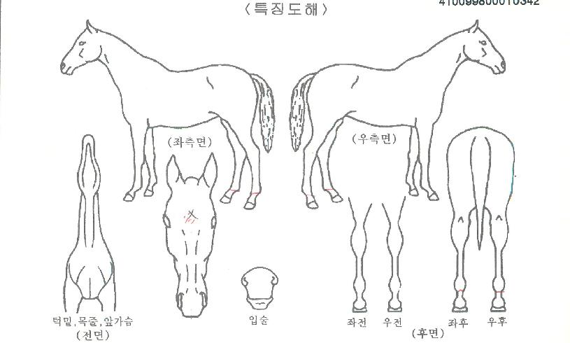 À©µð¹ë¸®ÀÚ¸¶ÀÇ Ãø¸é,¿ì¸é,µÞ¸é,µÎ»ó,´Ù¸®ÀÇ Æ¯Â¡µµÇØ