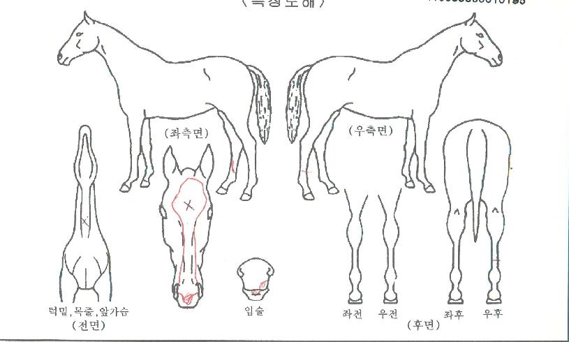 ��ǳ������ ����,���,�޸�,�λ�,�ٸ��� Ư¡����