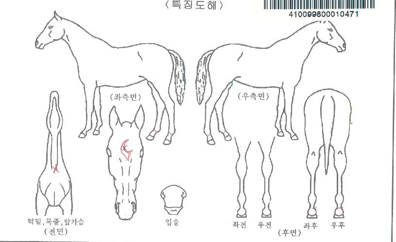 ���������� ����,���,�޸�,�λ�,�ٸ��� Ư¡����